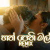 Hathpethi Mal (ReMix) - Mihiyz